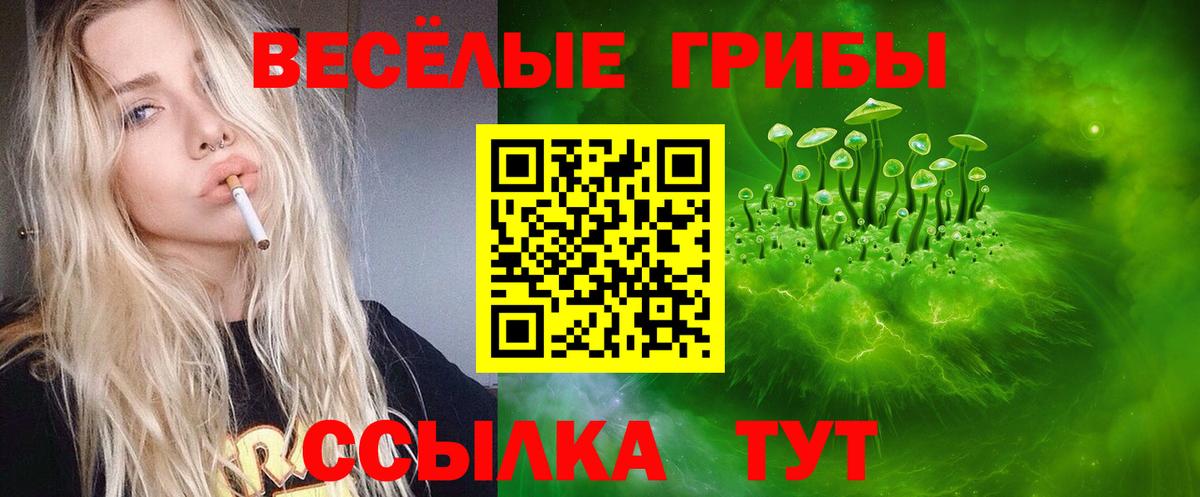 Новосибирск  Псилоцибиновые грибы мухоморы  Псилоцибиновые грибы MAGIC MUSHROOMS  Вход с VPN 
