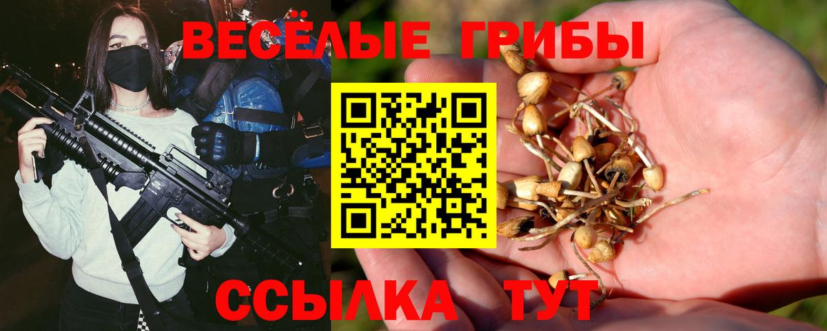 Галлюциногенные грибы Magic Shrooms Новосибирск